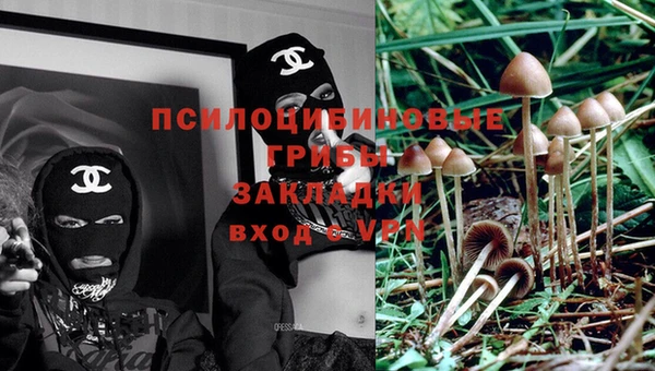 эйфоретик Балахна