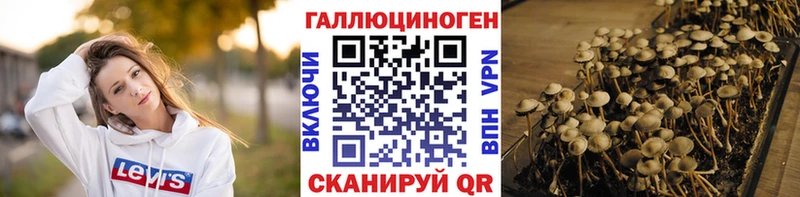 Галлюциногенные грибы прущие грибы  Сретенск 